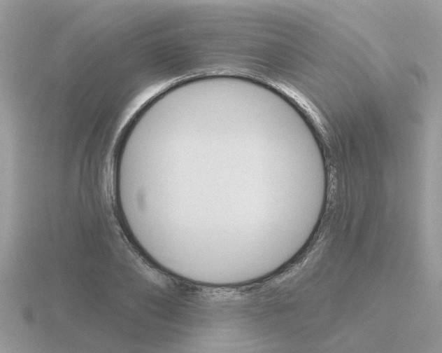 X0000116650886200912141004