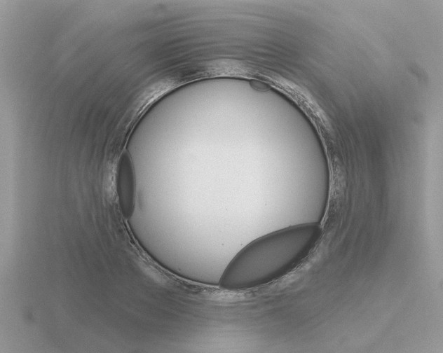 X0000116650889200912141004