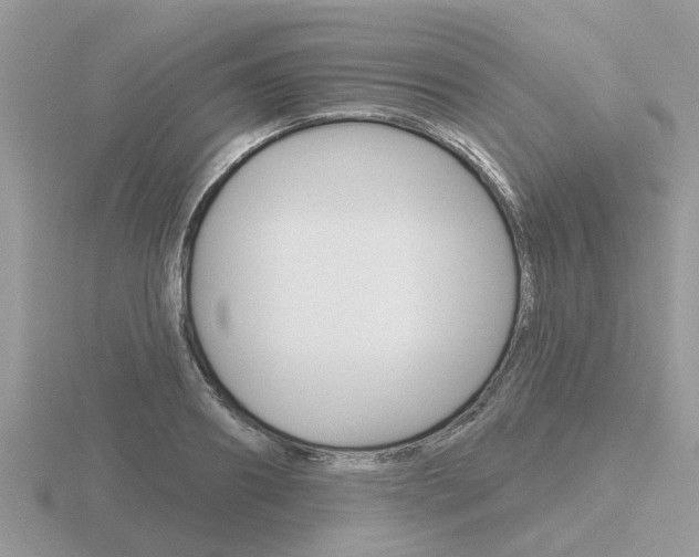 X0000116650890200912141004