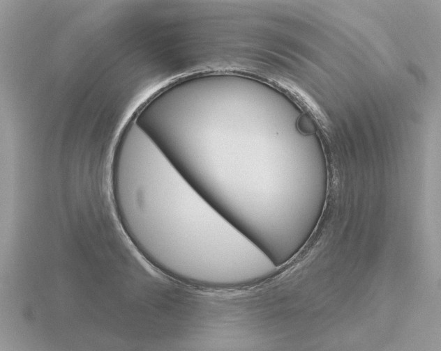 X0000116650894200912141003