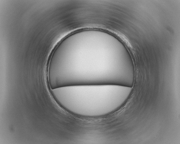 X0000116650895200912141003