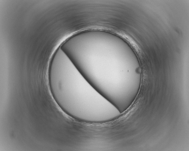 X0000116650902200912141003