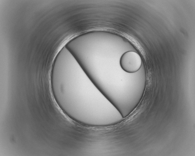 X0000116650906200912141003