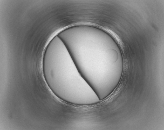 X0000116650910200912141003