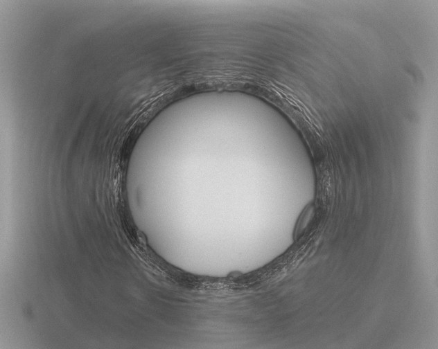 X0000116650914200912141002