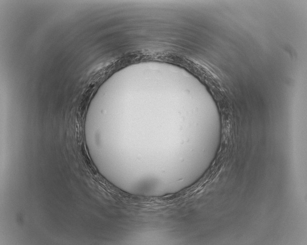 X0000116650917200912141003