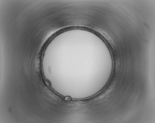 X0000116650926200912141003