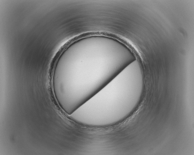 X0000116650927200912141003