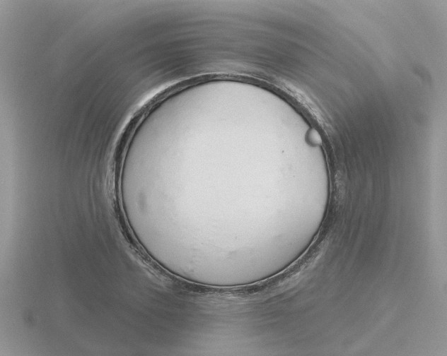 X0000116650931200912141003