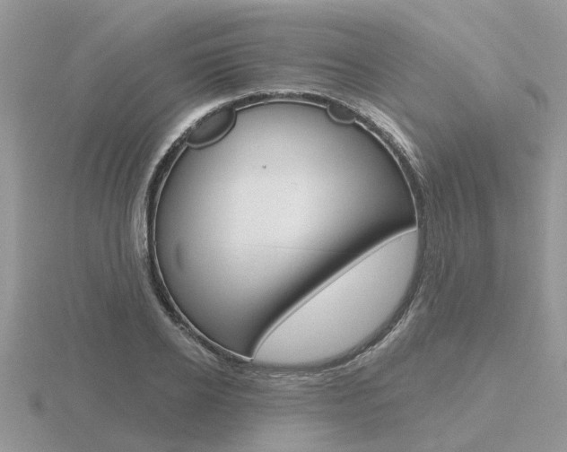 X0000116650934200912141003