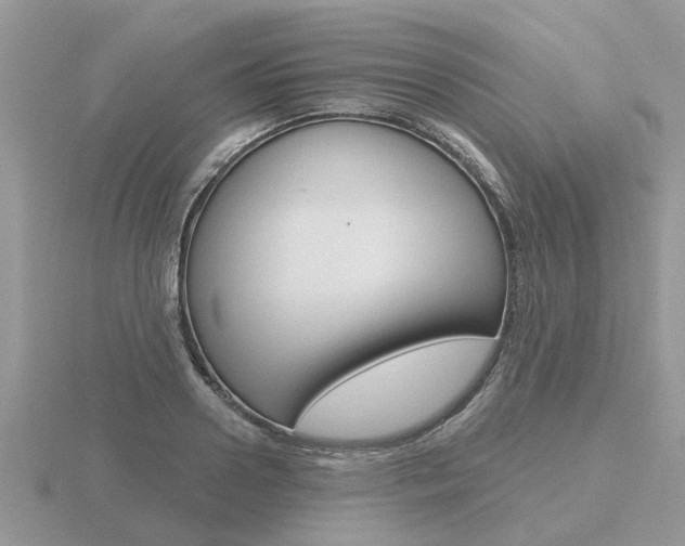 X0000116650938200912141003