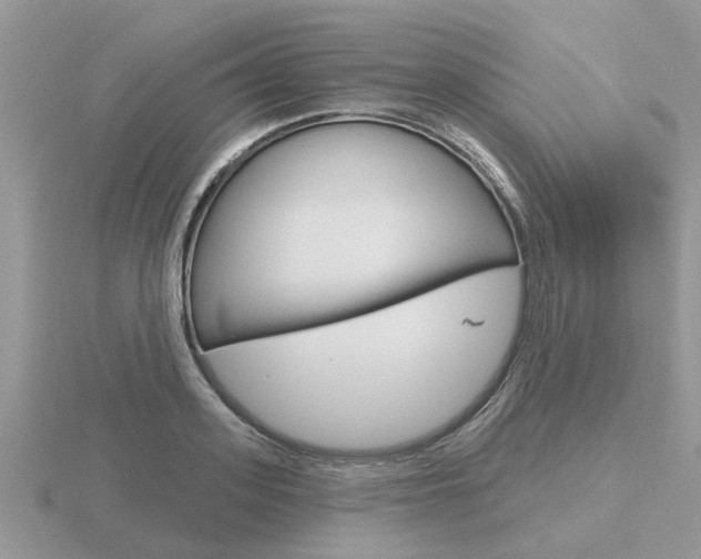 X0000116650939200912141003