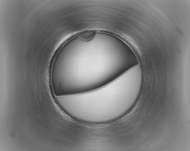 X0000116650942200912141003