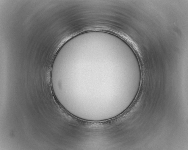 X0000116650945200912141003