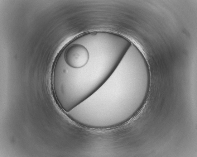 X0000116650949200912141003