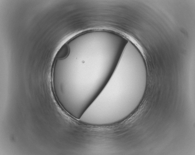 X0000116650951200912141003