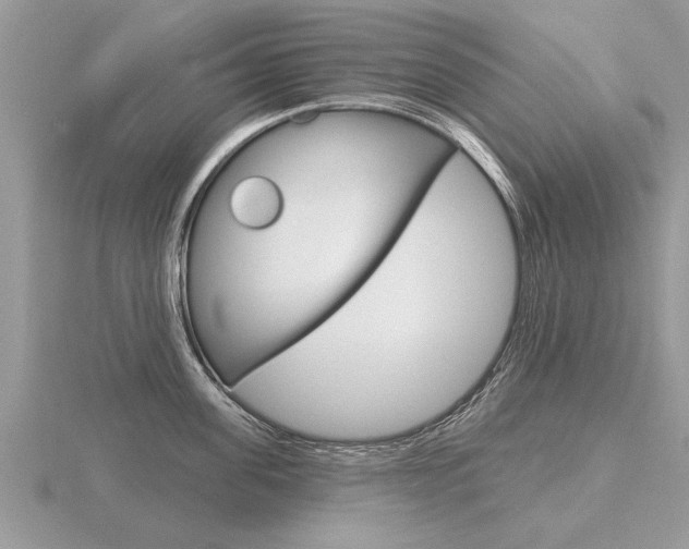 X0000116650955200912141003