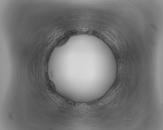 X0000116650961200912141002