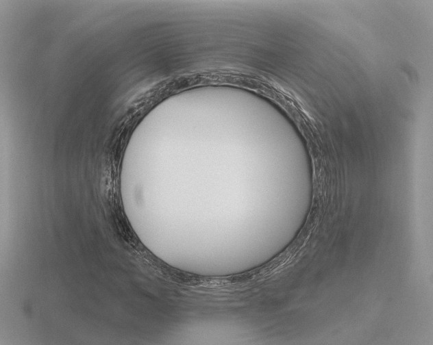 X0000116650966200912141002