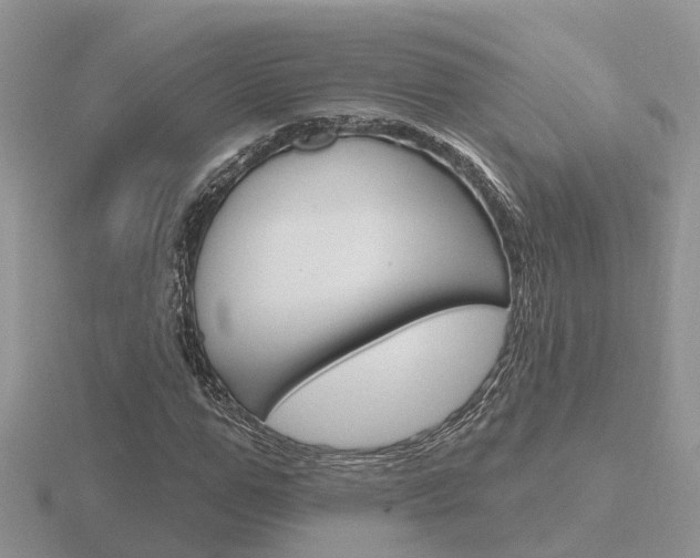X0000116650967200912141002