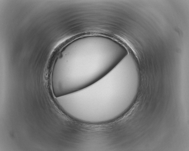 X0000116650971200912141002