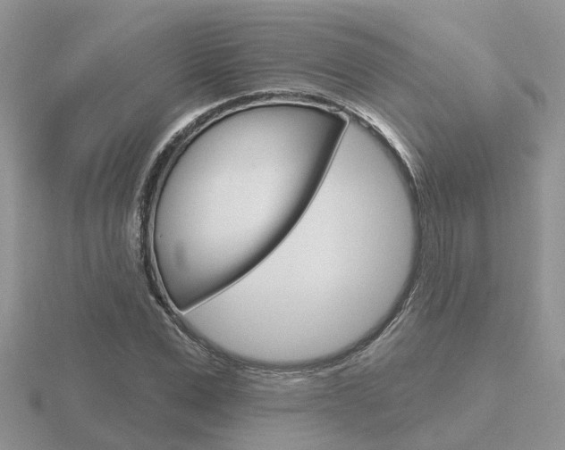 X0000116650975200912141002