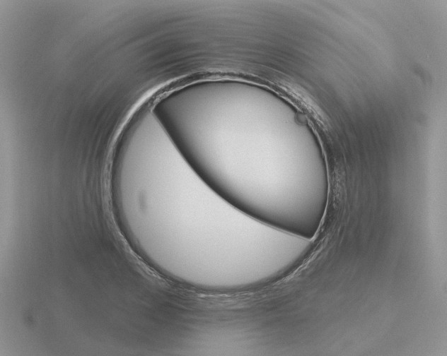 X0000116650976200912141002