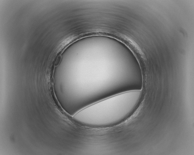 X0000116650977200912141002
