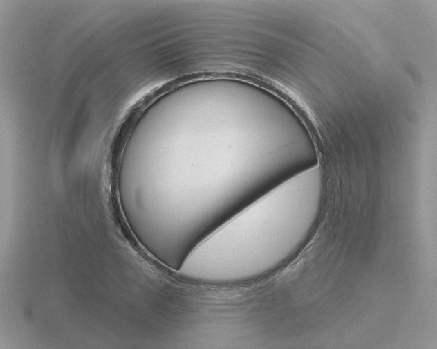X0000116650979200912141002
