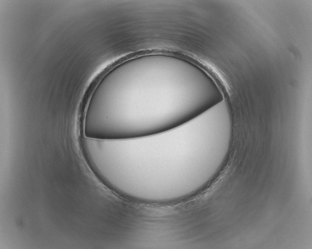 X0000116650983200912141002