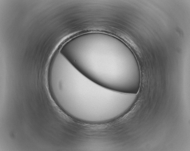X0000116650984200912141002