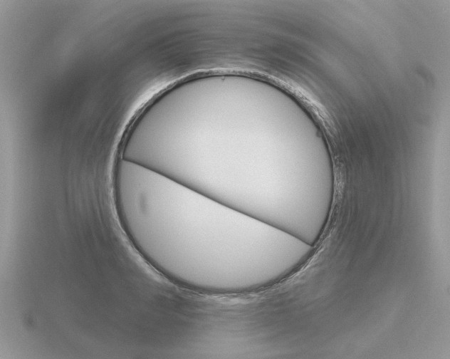 X0000116650990200912141002