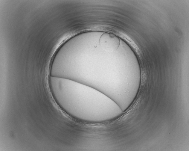 X0000116650994200912141002