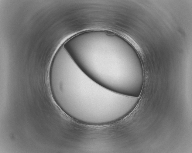 X0000116650996200912141002