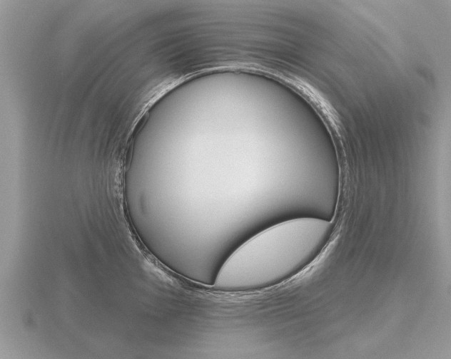 X0000116651001200912141002