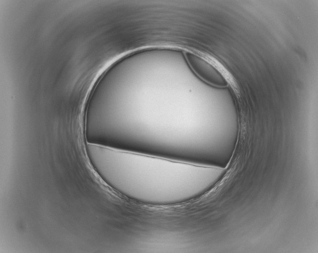 X0000116651004200912141002