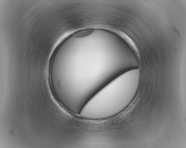 X0000116651005200912141002