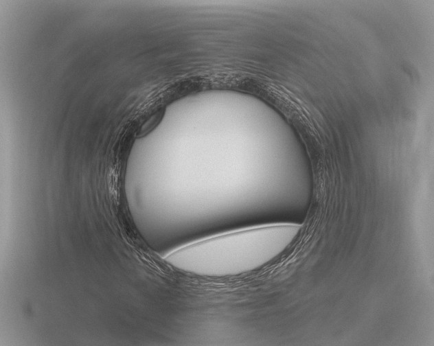 X0000116651010200912141001