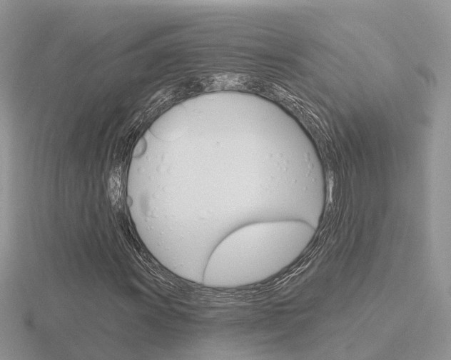 X0000116651011200912141001