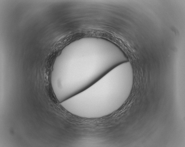 X0000116651013200912141001