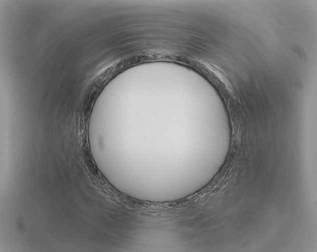 X0000116651015200912141001