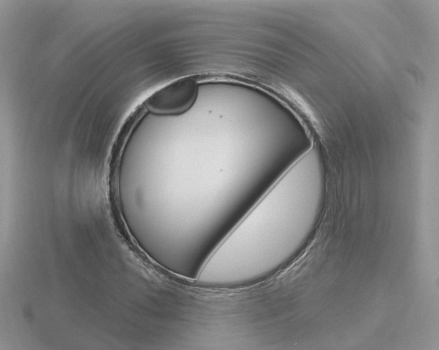 X0000116651020200912141001