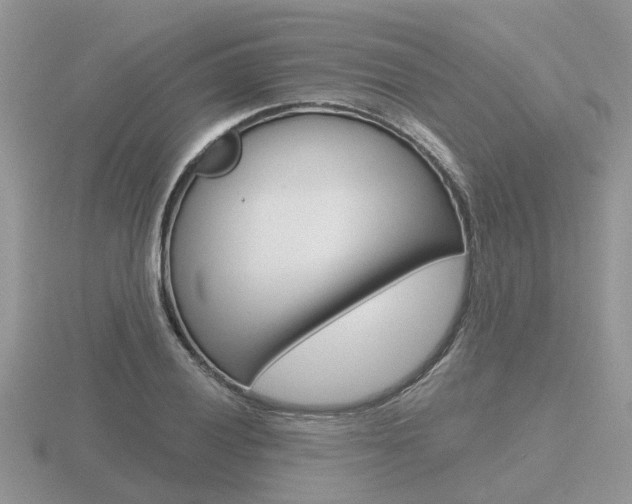 X0000116651028200912141001