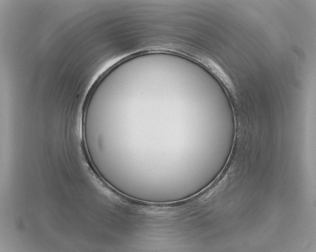 X0000116651036200912141002
