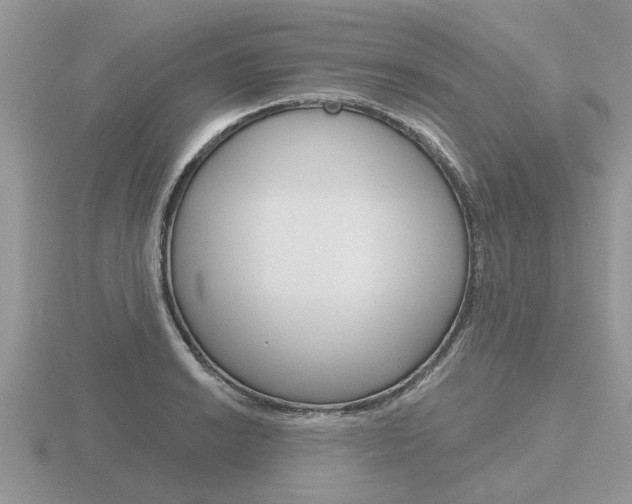 X0000116651038200912141002