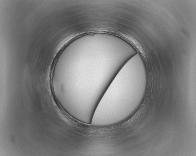X0000116651039200912141002