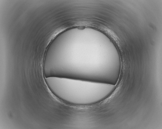 X0000116651041200912141002