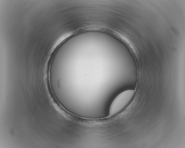 X0000116651042200912141002