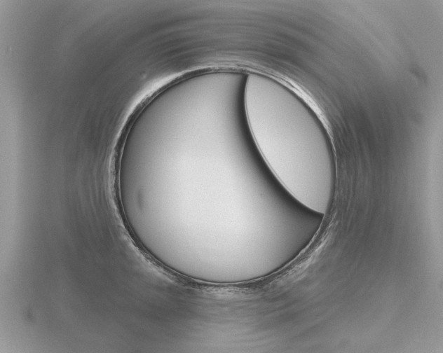 X0000116651045200912141002