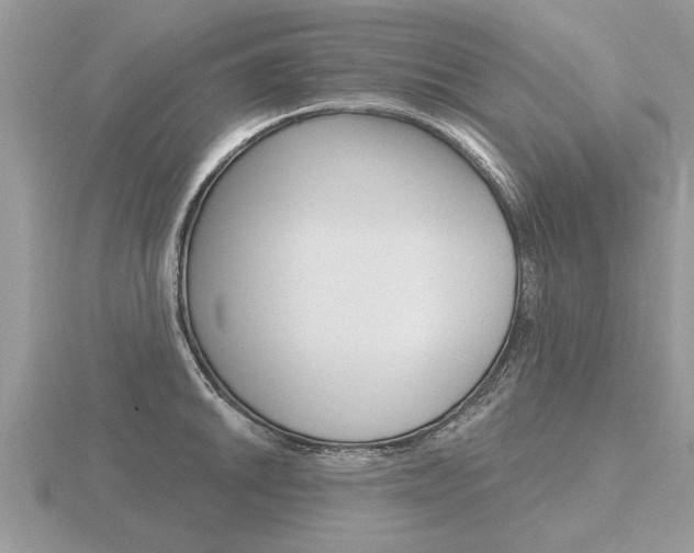 X0000116651046200912141002